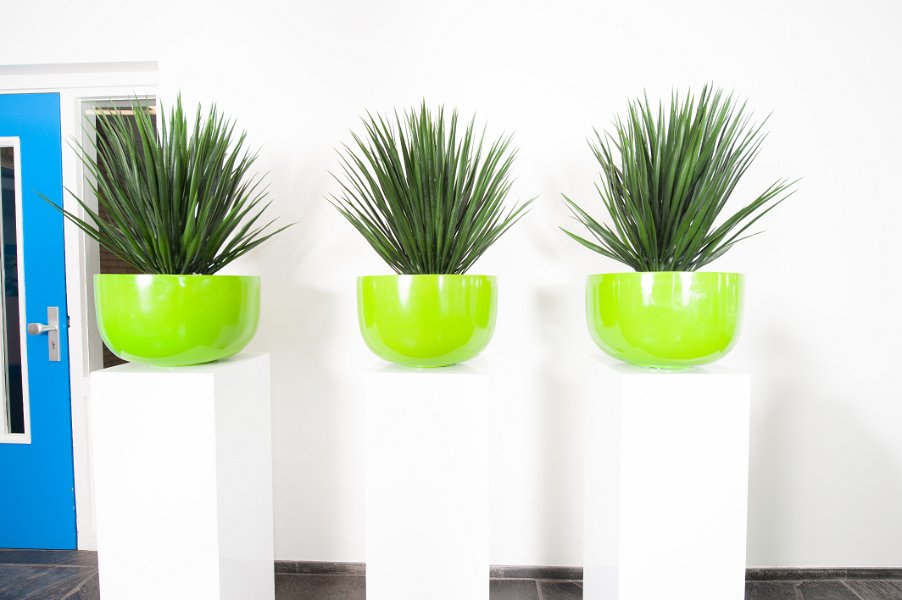 3 zuil gr bak yucca -3918